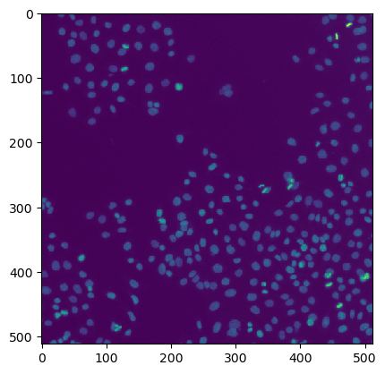 _images/3a29fe8c4ddb272d4b28c6215c8bb4781613e0cf4c53320acef7d907674d5649.png