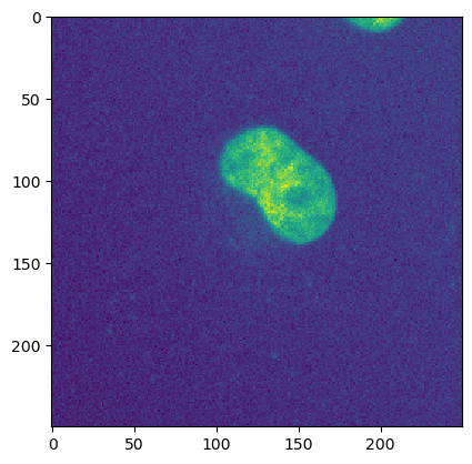 _images/ee7a7484568f320e9c2a733ebafbc6d0c147476b7750a5abe74e81d0e1087f0e.png
