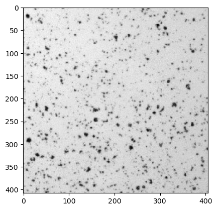 _images/1d483fb5e1f4d2e6a9bfb87903c89ee3a6c4fba1ab94174db93b2529f7e3a6e5.png